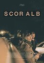 Scor Alb (2015) скачать бесплатно в хорошем качестве без регистрации и смс 1080p