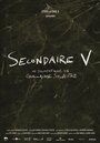 Secondaire V (2013)