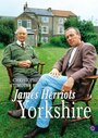 Смотреть «James Herriot's Yorkshire: The Film» онлайн фильм в хорошем качестве