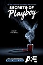 Секреты Playboy (2022)