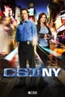 CSI: Место преступления Нью-Йорк (2004)