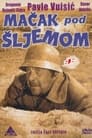 Кот под шлемом (1962) кадры фильма смотреть онлайн в хорошем качестве