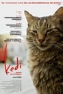 Город кошек / Кот (2016) трейлер фильма в хорошем качестве 1080p