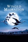 Птицы (2001) скачать бесплатно в хорошем качестве без регистрации и смс 1080p