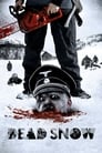 Операция «Мертвый снег» (2009)